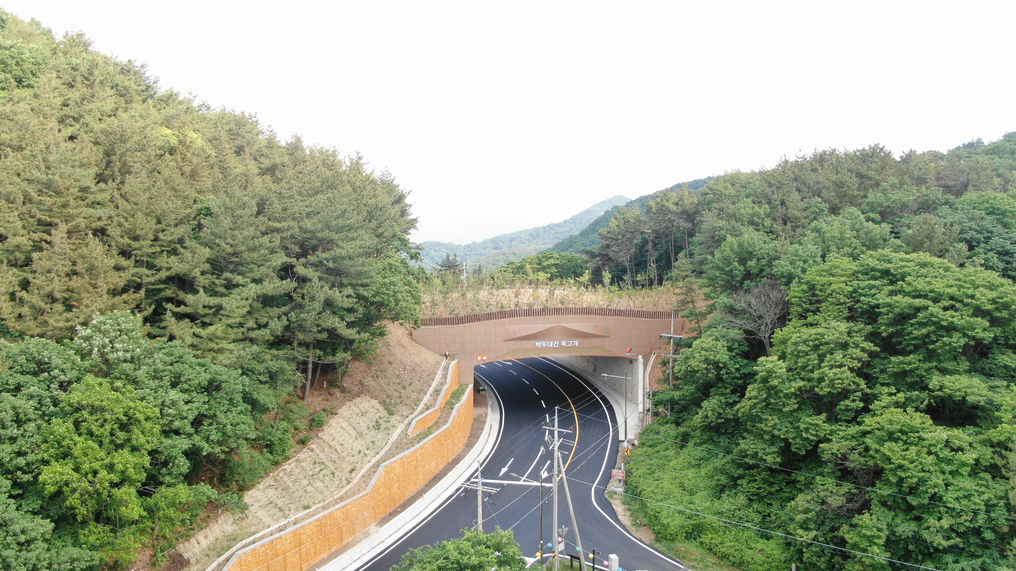한반도 미래유산 백두대간 빈틈없이 연결하고 복원 실시! 이미지3