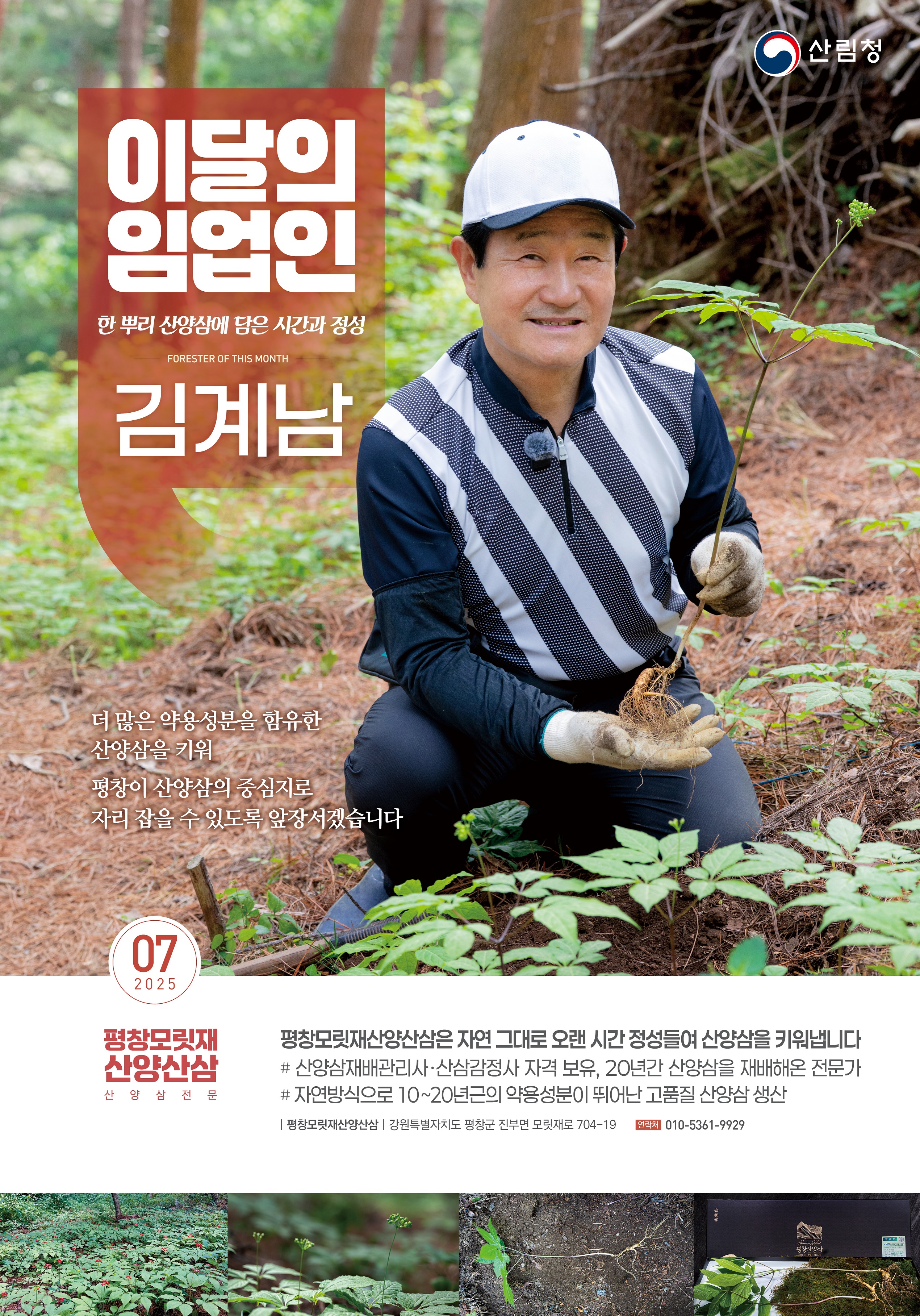 산림청, ‘7월의 임업인’에 강원 평창에서산양삼을 재배하는 김계남 임업인...