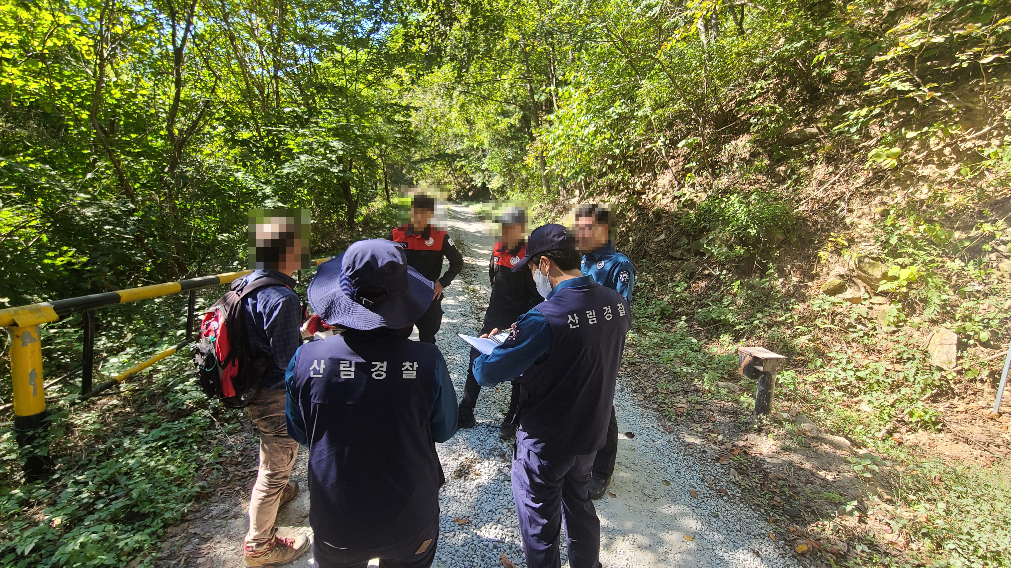 청정 산림 지킨다… 여름철 산림오염·훼손행위 집중 단속