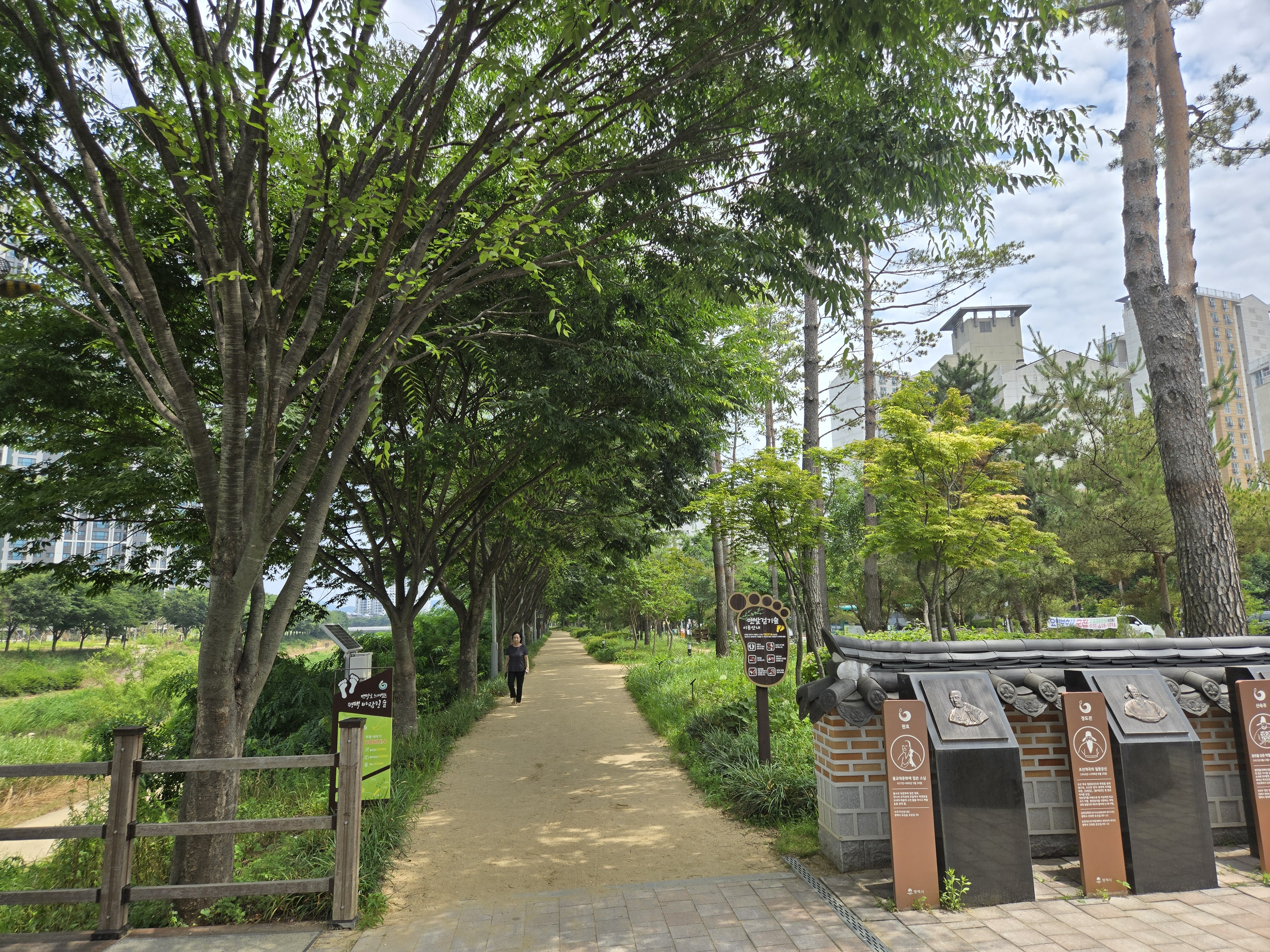 시원한 그늘 아래 한걸음… 자연이 만든 여름쉼터 도시숲