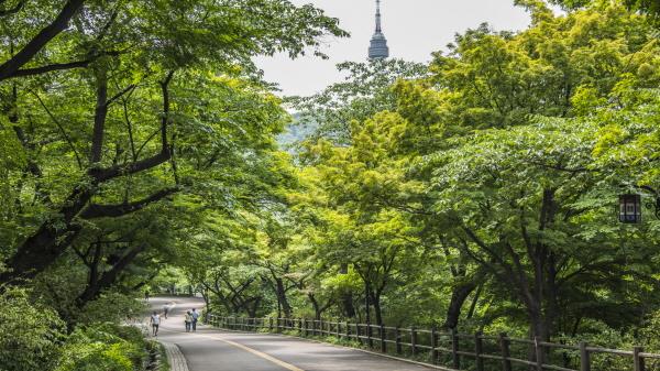 시원한 그늘 아래 한걸음… 자연이 만든 여름쉼터 도시숲 이미지3
