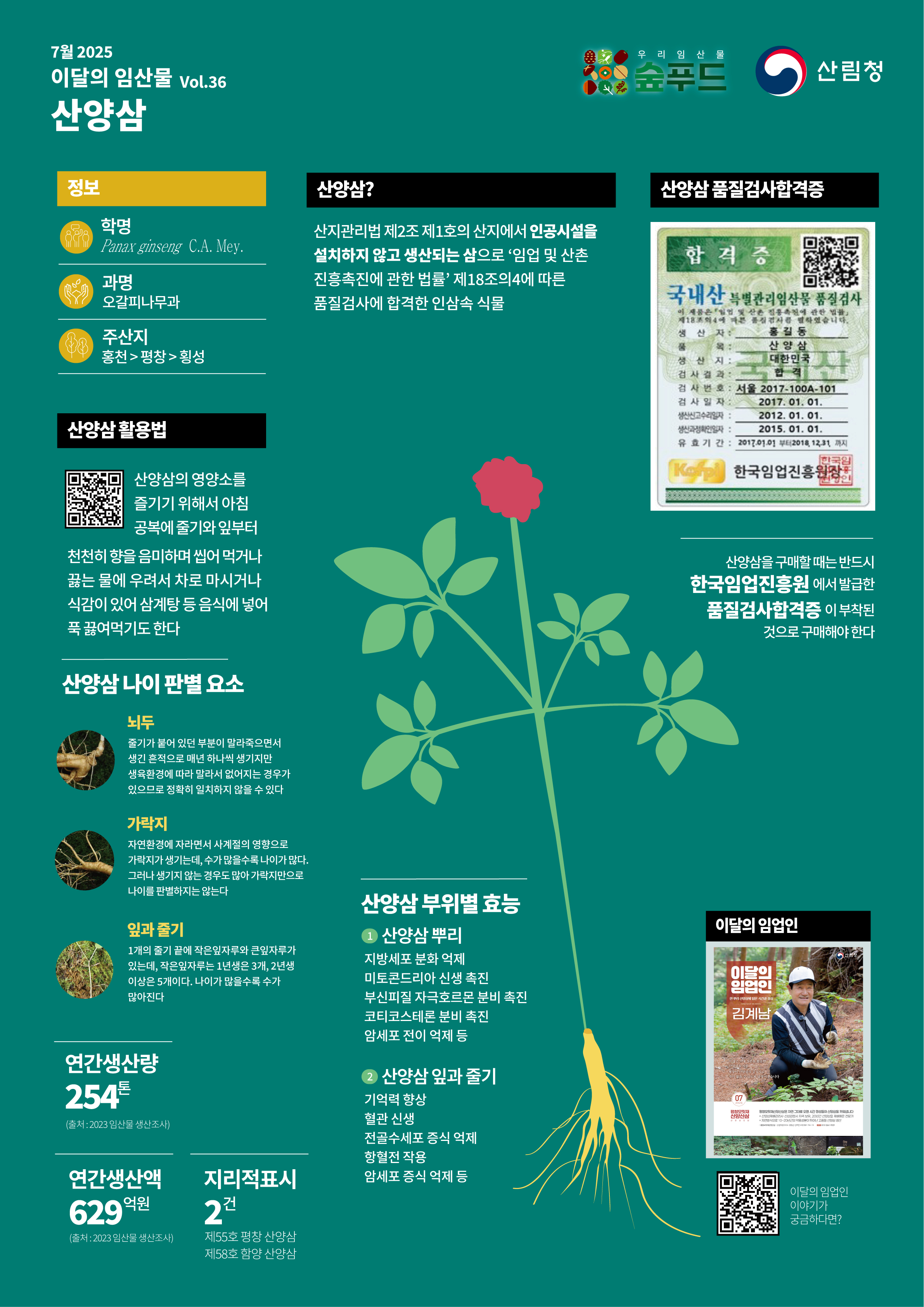 산림청, 7월 이달의 임산물로 ‘산양삼’ 선정