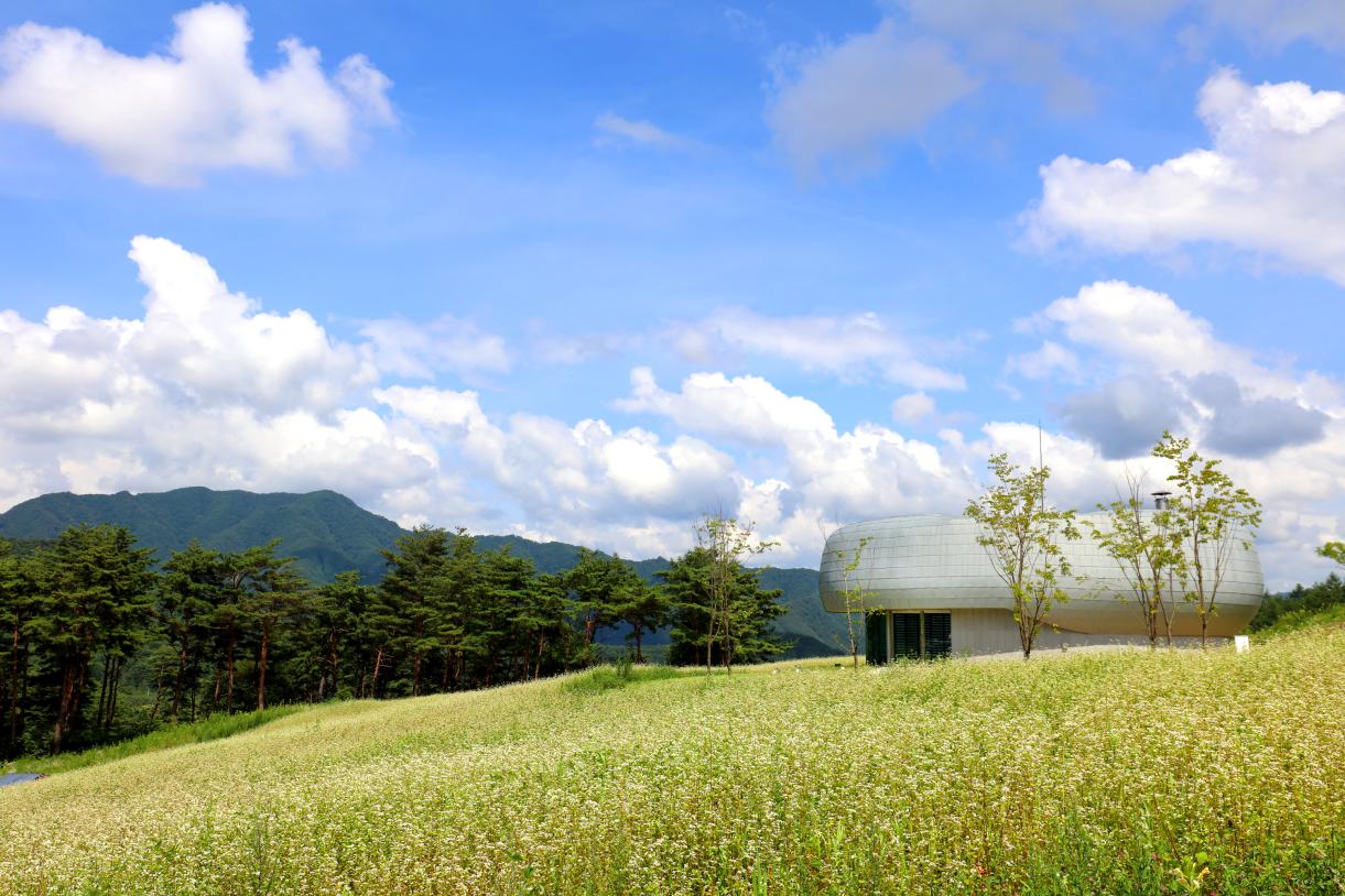 산림청, 백두대간 글로벌 시드볼트 통해 전 세계 종자보전사업 본격화