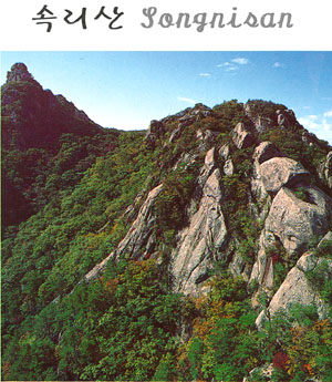 속리산((Mt. )Songnisan)