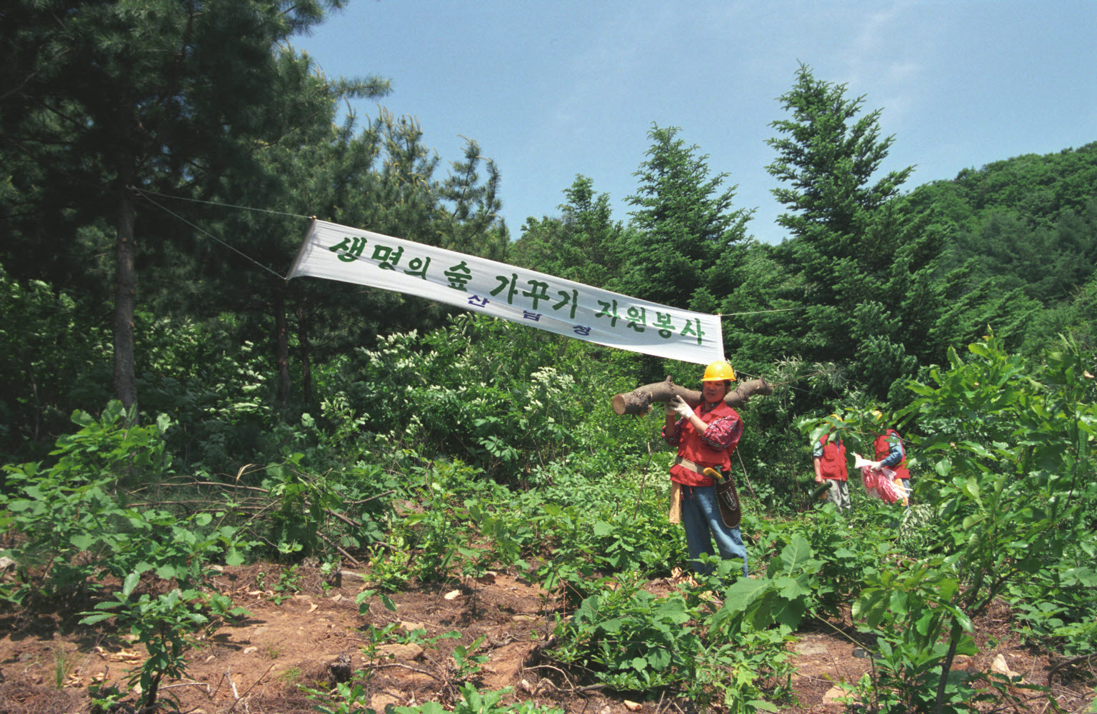산림청직원 생명의 숲 가꾸기 봉사활동