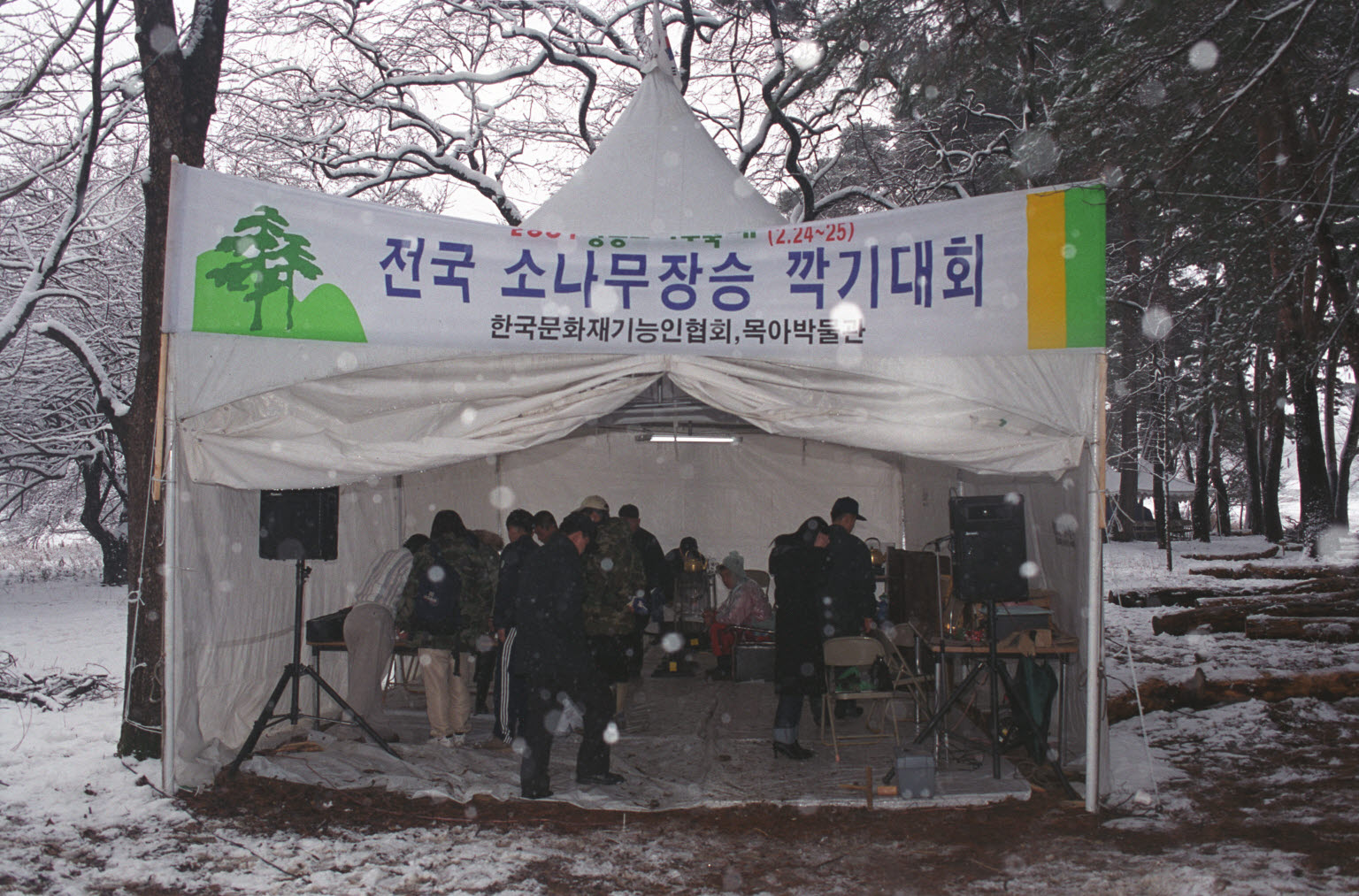 2001 강릉 소나무 축제