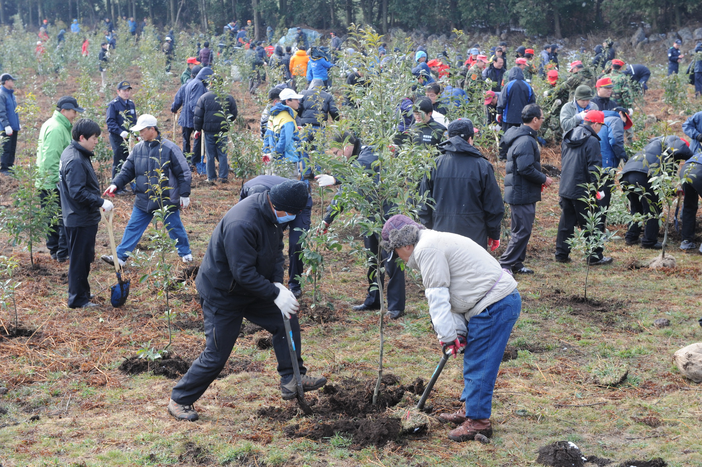 산림탄소상쇄제도 최초 참여기업 나무심기 본격화