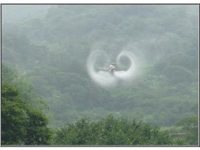 산림병해충 항공방제 본격적으로 시작