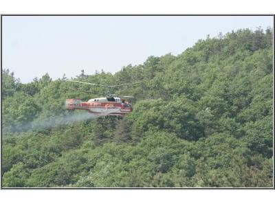 산불진화헬기 항공방제체제로 전격 전환