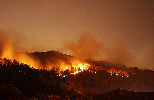 2011 봄철 산불, 건수·피해면적 예년 절반 수준 이미지1