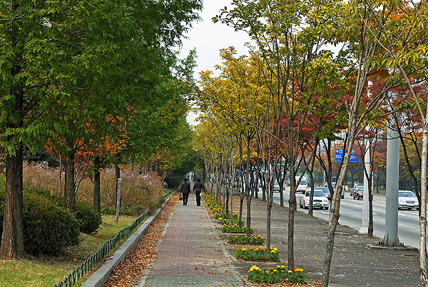 제3회 대한민국 도시숲 설계공모 대전 이미지1