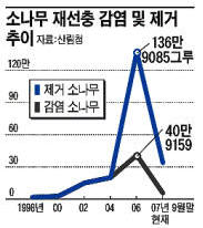&#39;소나무 에이즈&#39; 재선충병 급감