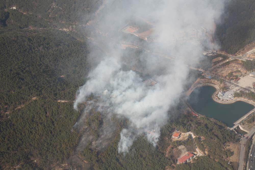 부산 해운대구 대천공원인근 야산에서 산불발생 이미지2