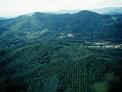 산림청-KEPCO 상생발전 협약 체결