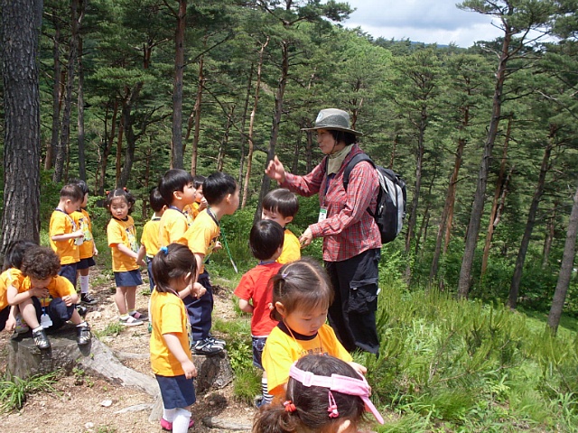 국립휴양림, 차세대 산림교육 프로그램&#39;푸름(PLUM)&#39;출시 이미지1