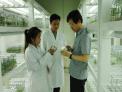 한국 생물공학 기술, 캄보디아 산림복구에 한 몫!