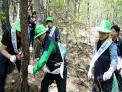 올 상반기 산림 내 불법훼손행위 1,373건 발생