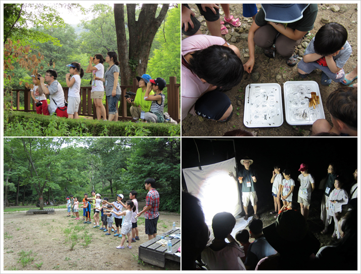 국립수목원, 7, 8월 온가족이 함께하는「여름 숲 캠프」운영 이미지1
