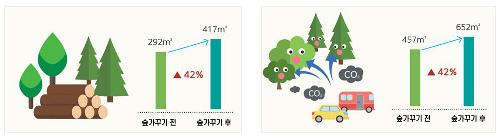 나무의 양은 숲가꾸기전 292㎥에서 숲가꾸기 후 417㎥로 42% 증가, 이산화탄소 흡수량은 숲가꾸기전 457㎥에서 숲가꾸기후 652㎥로 42% 증가