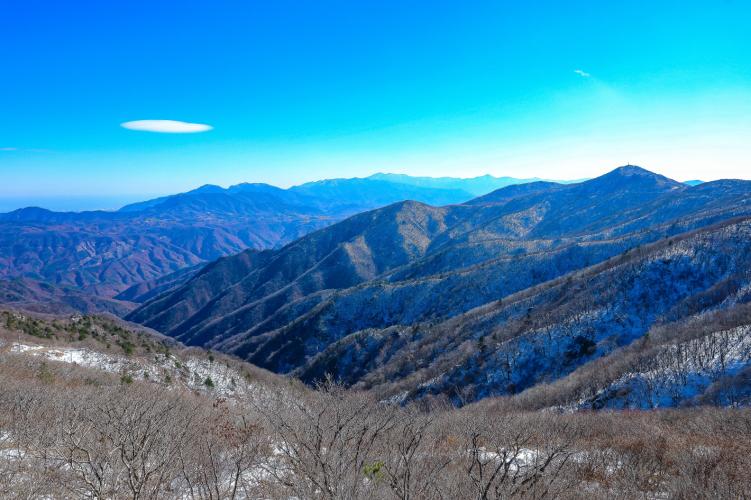 [보전] 80.고성 금강산 향로봉숲