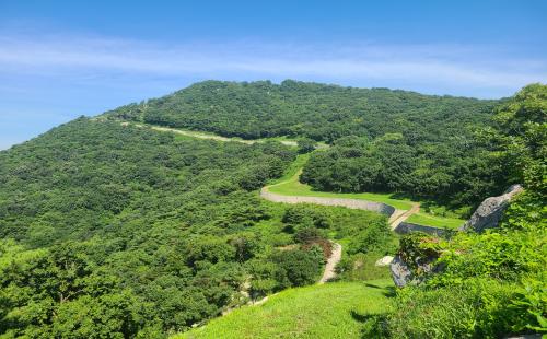 민·관·학이 모여  3만 9천km 숲길 정보 표준화한다!
