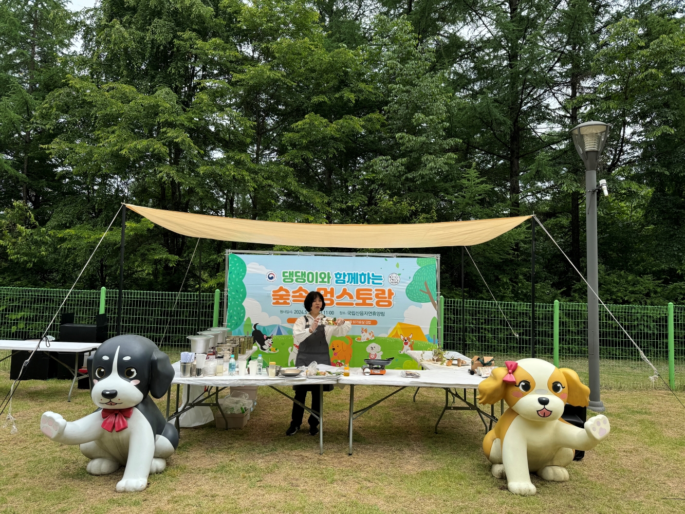 댕댕아, 너만을 위한 숲속 놀이터로 놀러 와! 이미지1