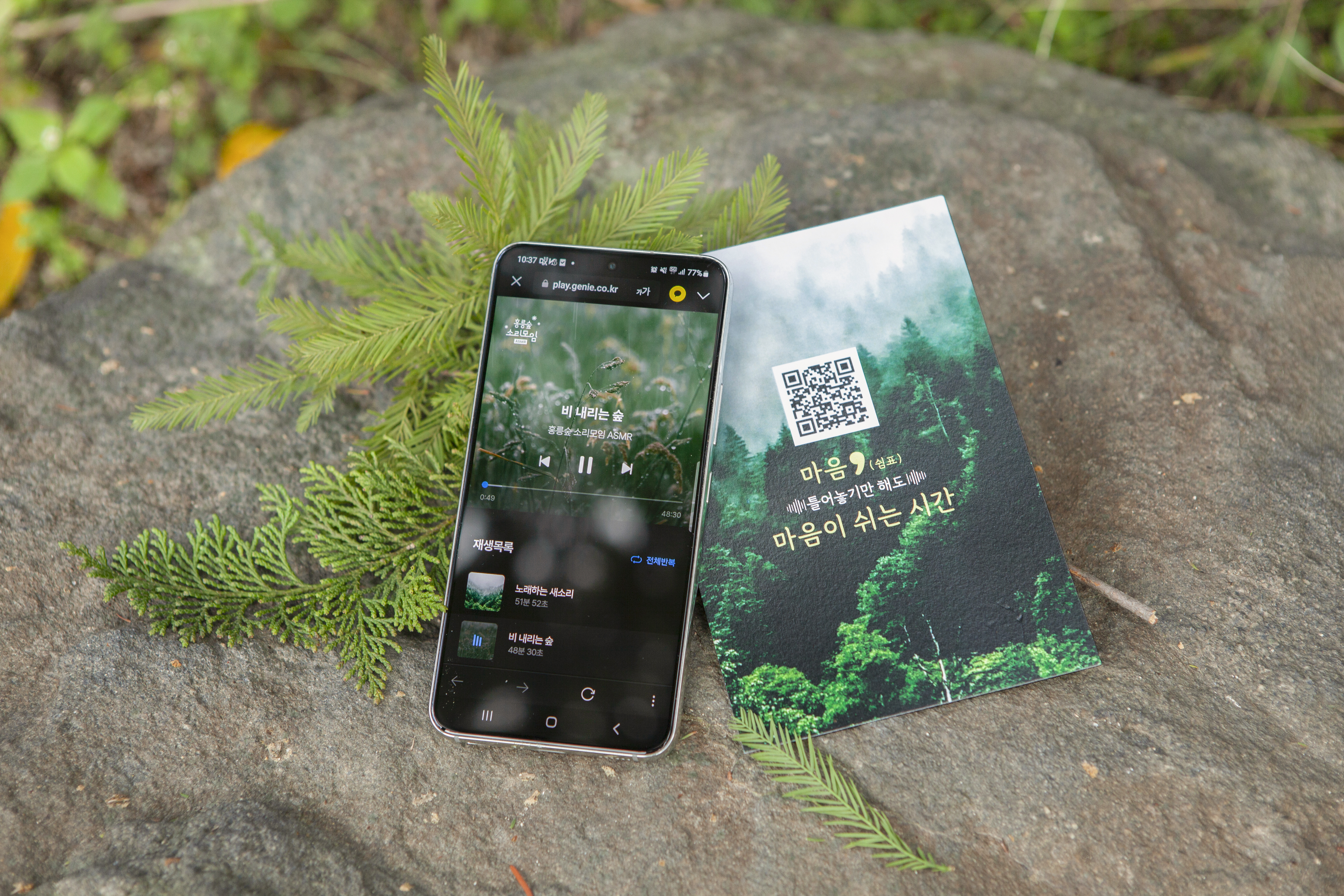 숲소리로 범죄피해자 심리 안정 돕는다 이미지1