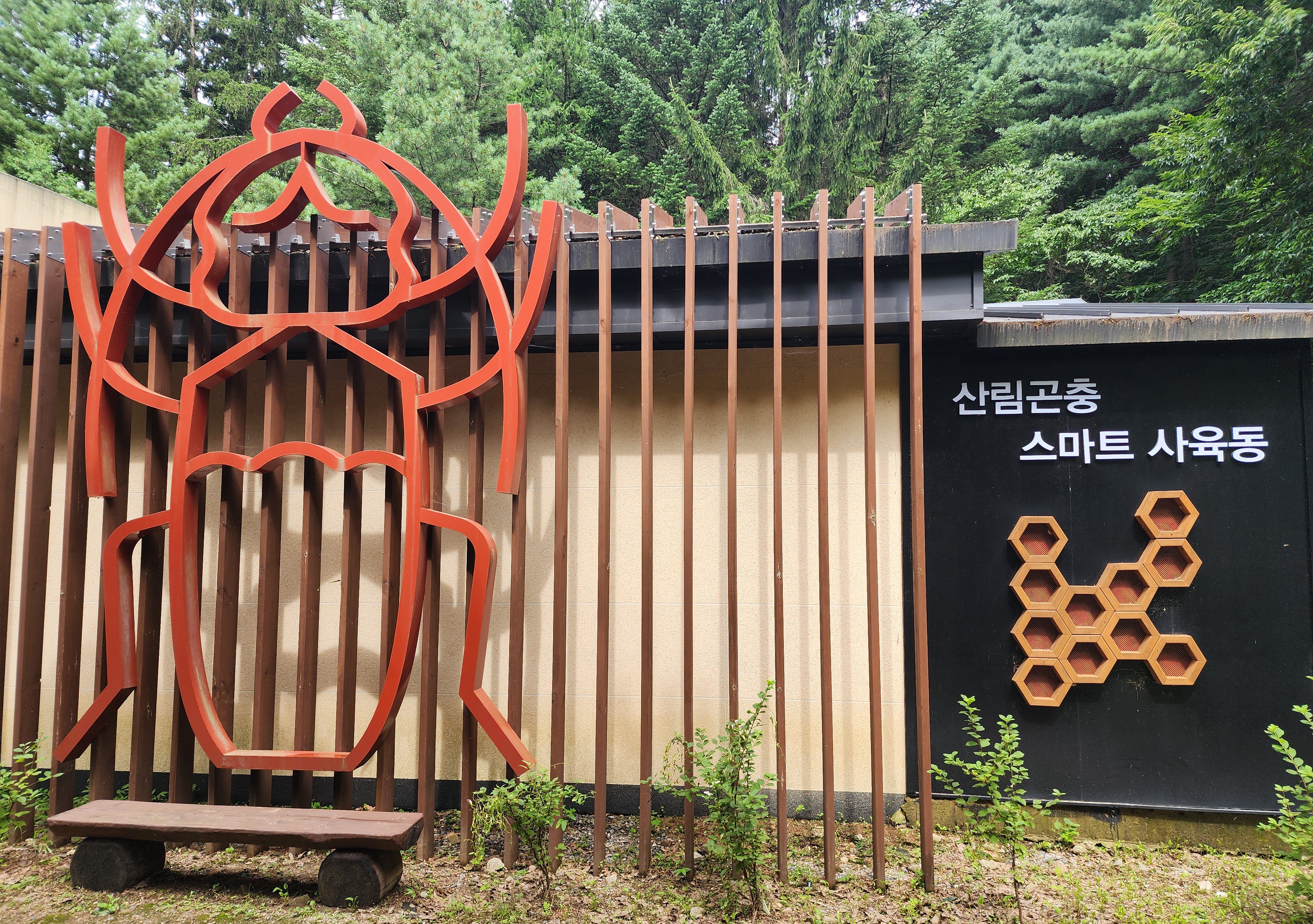 「천연기념물, 장수하늘소」, 성공적 복원 위해 국립기관 간 손 맞잡아 이미지1
