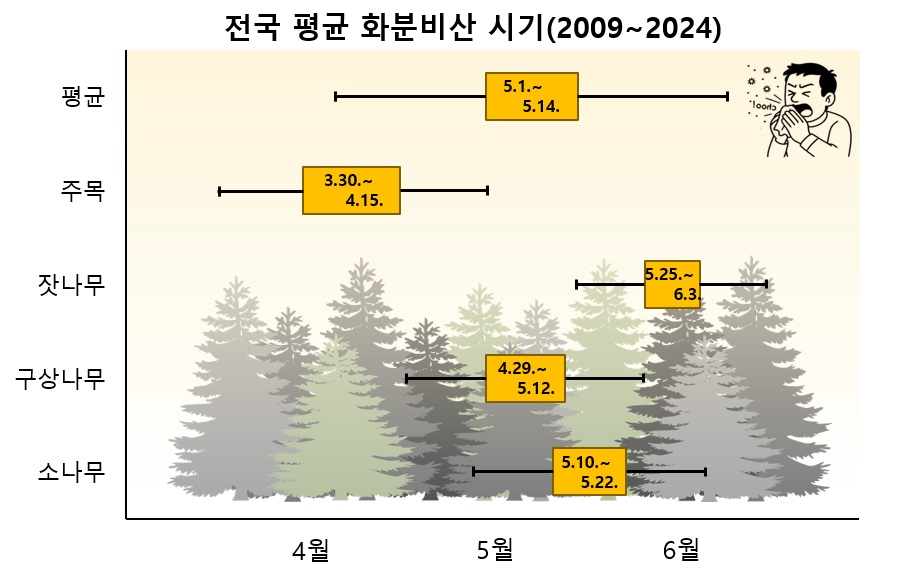 봄 불청객, “송홧가루” 비산 시기 빨라져... 이미지1