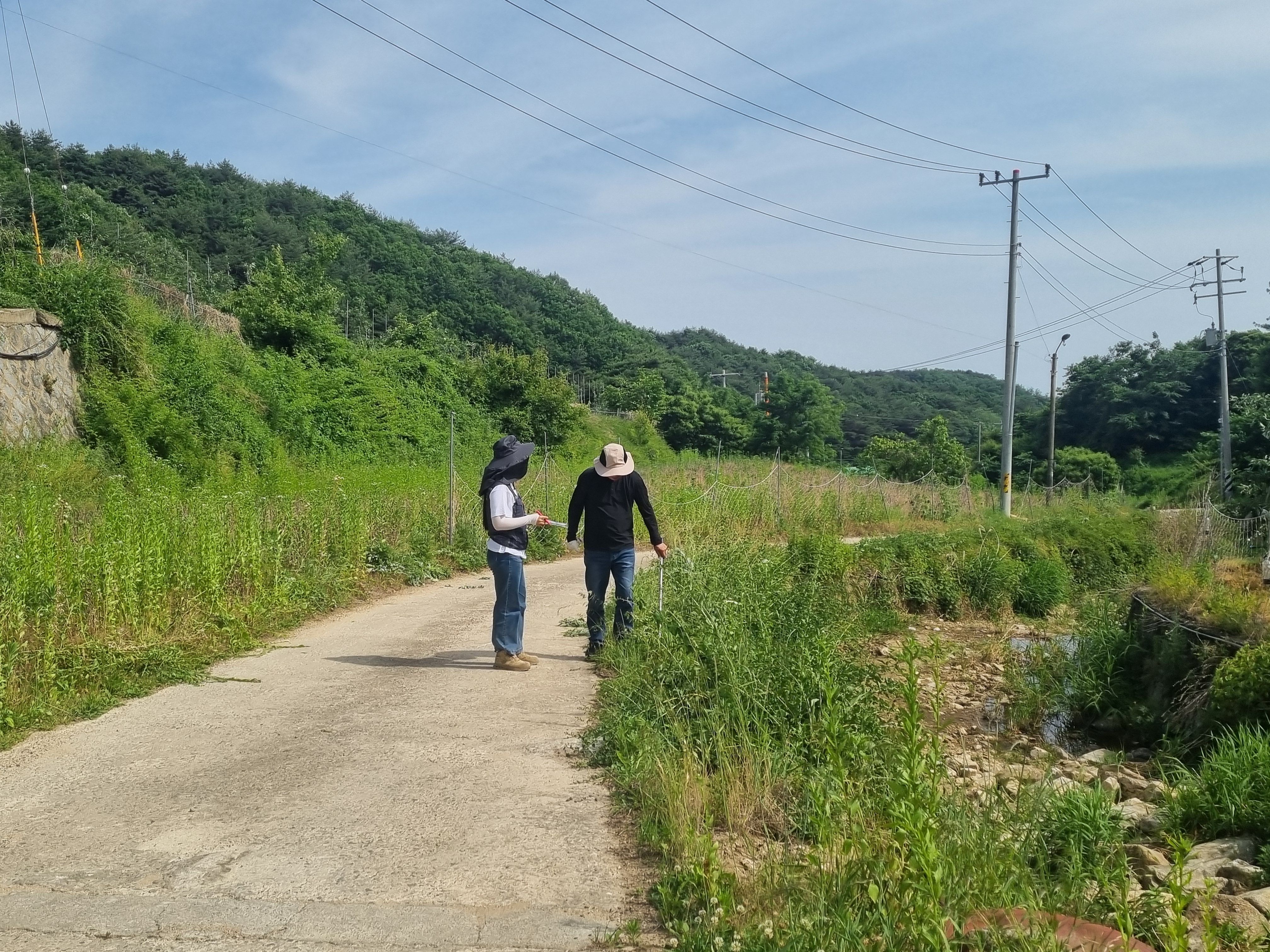 영주국유림관리소,국유림 대부·사용허가지 실태조사 실시 - 사용허가지 타용도 사용여부 및 불법산지전용 점검 - 이미지2
