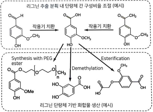 바이오플라스틱의 원료, 나무에서 찾는다! 이미지1