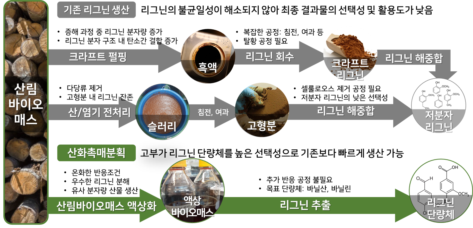 바이오플라스틱의 원료, 나무에서 찾는다! 이미지2