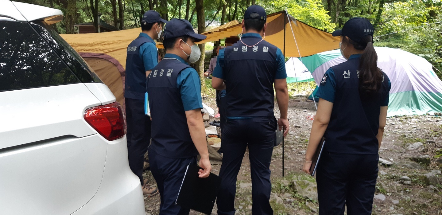 동부산림청, 여름철 산림 내 불법행위 집중단속 이미지1