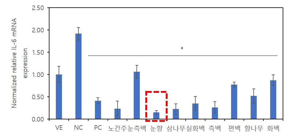 국산 침엽수 정유, 성분부터 효능까지 천연소재 산업화 기대 이미지2