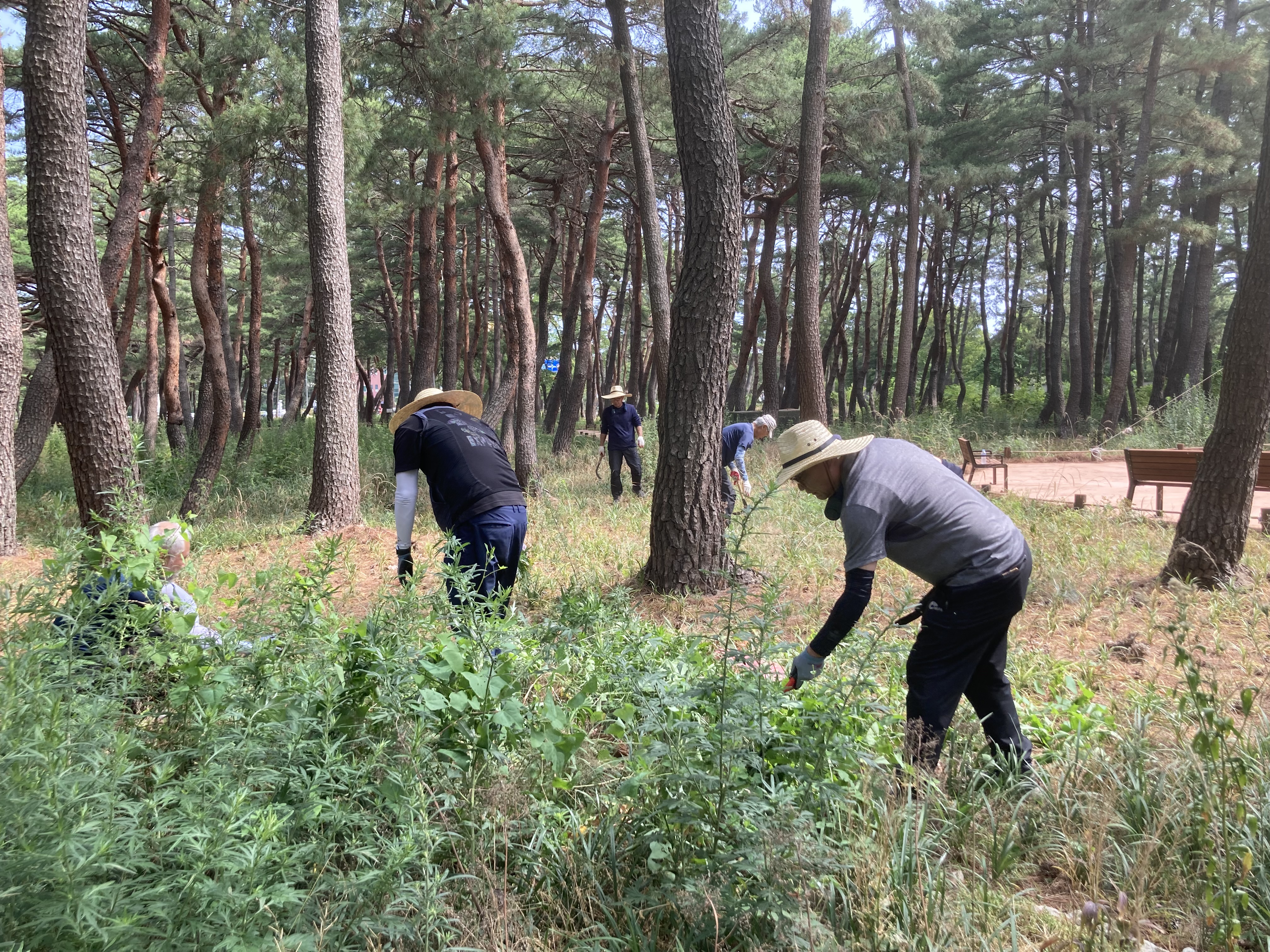 동부지방산림청장, 야외작업 하루체험 실시 이미지2