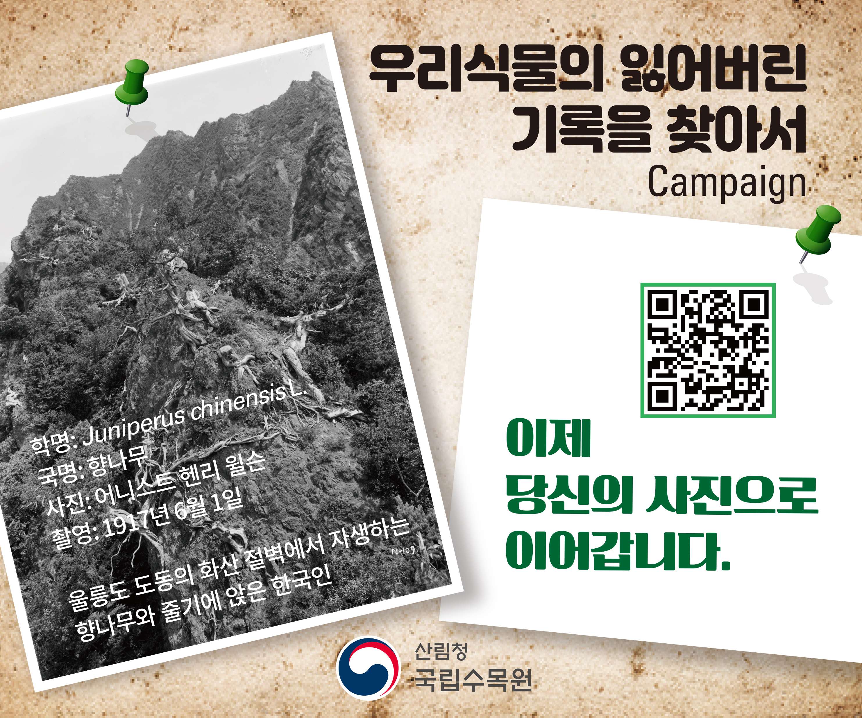 국립수목원, ‘우리식물의 잃어버린 기록을 찾아서’ 사진 공모전 개최 이미지1