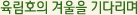 육림호의 겨울을 기다리며