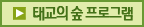 태교의 숲 프로그램