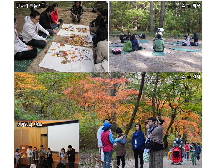 만다라만들기, 숲속명상, 오카리나 연주, 숲 속 산책