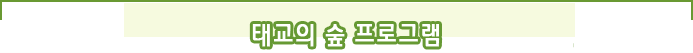 태교의 숲 프로그램