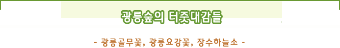 광릉숲의 터줏 대감들 
            - 광릉골무꽃, 광릉요강꽃, 장수하늘소 -