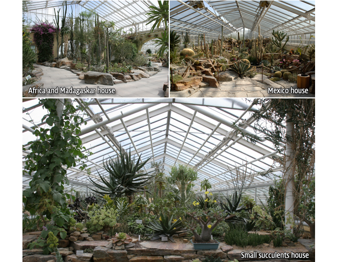 Africa and Madagaskar house , Mexico house , Small succulents house 