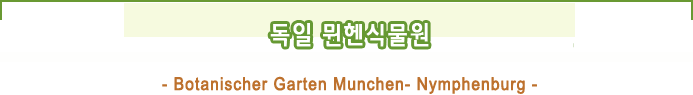 독일뭰휀 식물원 
            - Botanischer Garten Munchen- Nymphenburg -   ” 