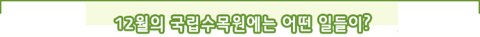 12월의 국립수목원에는 어떤 일들이?