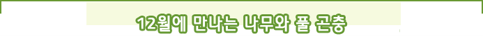 2월에 만나는 나무와 풀 곤충 