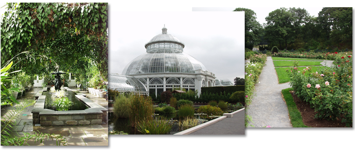 The Wisley shop, The Wisley Plant Center, The Wisley Shop 내의 식물관련 전문서적