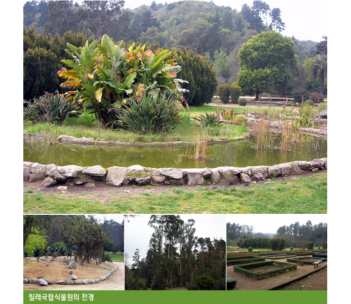 칠레국립식물원의 전경