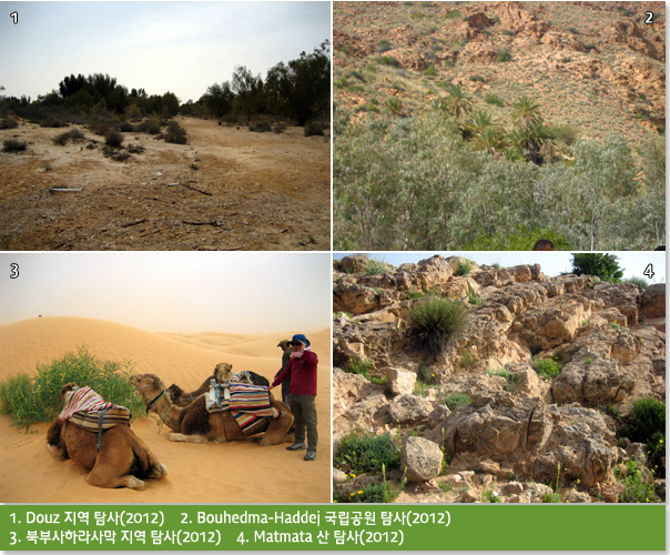 1. Douz 지역 탐사(2012)    2. Bouhedma-Haddej 국립공원 탐사(2012)     3. 북부사하라사막 지역 탐사(2012)    4. Matmata 산 탐사(2012)