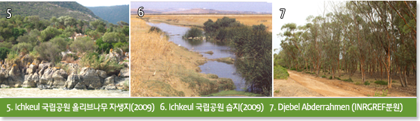 5. Ichkeul 국립공원 올리브나무 자생지(2009)   6. Ichkeul 국립공원 습지(2009)   7. Djebel Abderrahmen (INRGREF분원)