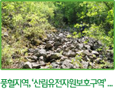 풍혈지역, ‘산림유전자원보호구역’ 지정...